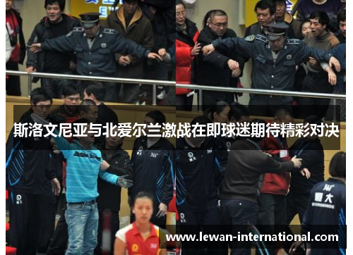 斯洛文尼亚与北爱尔兰激战在即球迷期待精彩对决
